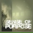 Sense Of Purpose