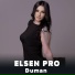 Elsen Pro