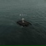 NF