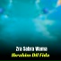 Ibrahim Dil Fida