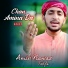 Amir Nawaz Tohfa