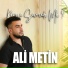 Ali Metin