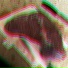 Trapio