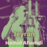 Hamid Ahmadi