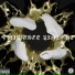 SemLove feat. RIAD216