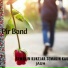 Pir Band