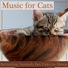 RelaxMyCat