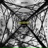 Neil Stout