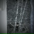 DDHollow
