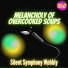 Silent Symphony Wobbly