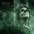 Devcord