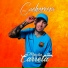 Mc Phe Cachorrera