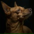 Puppy Music Dreams, Chill Beats Music, Upsilon