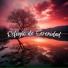 Relajante Conjunto de Música Zen