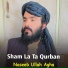 Naseeb Ullah Agha