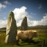 Stone Age Time Machine