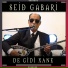 Seid Gabari