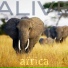 Alive