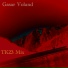 Gasar Voland