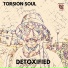 Torsion Soul