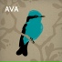 Ava