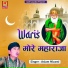 Aslam Nizami