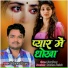 Chandan Aashiyana