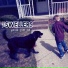 The Swellers