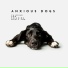 Pet Music Academy