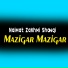Naimat Zakhmi Showqi