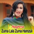 Naghma