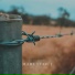Kayos, Abstract