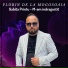 Florin de la Mogosoaia feat. Gabita Printu