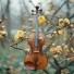 Moscow Philharmonic Orchestra