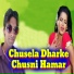 Arya Vivek, Santosh Snehi