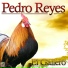 Pedro Reyes