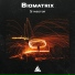 Biomatrix