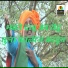Balu Shinde