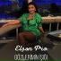 Elsen Pro