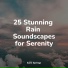Relaxing Music, Música Zen Relaxante, Rain
