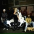 M2S officiel