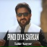 Tahir Nayyer