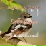 Birronase Bemed