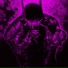 DJ EDWL, DARKXHAWK