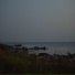 Линия