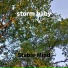 Stable Mind