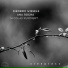 Diederik Wissels, Ana Rocha feat. Nicolas Kummert
