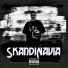 SkandiNavia