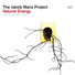Jakob Manz, The Jakob Manz Project