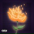 Zé